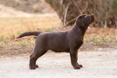 MB-COCO-MADEMOISELLE-3m-web