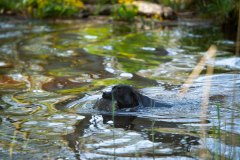 My Brand Crystal Clear