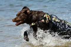 My Brand Discover The World