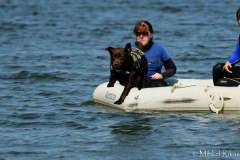 My Brand Discover The World