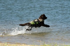 My Brand Discover The World