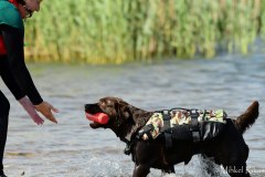 My Brand Discover The World