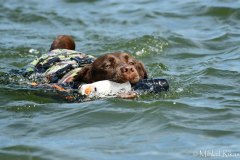 My Brand Discover The World