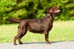 My Brand Discover The World