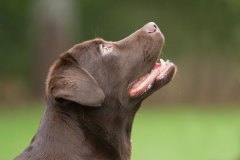 My Brand Discover The World