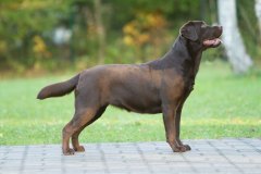 My Brand Discover The World