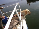 My Brand Edelweiss having a boat trip