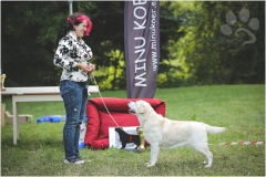 48562218352_5c31e277a6_o