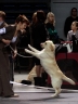 amelie-jump1