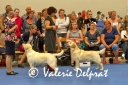 ww-helsinki-mb-espirit