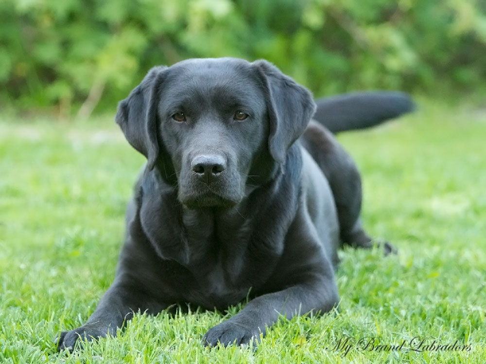 Tessa, at the age of 20 months