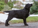 Tessa, at the age of 4 months