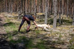 My Brand Golden Dream "Roxi" qualified in the field. Photo by Juris Maurans