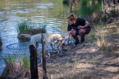 My Brand Golden Dream "Roxi" qualified in the field. Photo by Juris Maurans