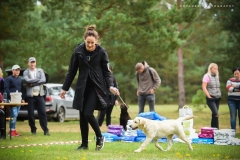 My Brand Golden Dream (4 months old)