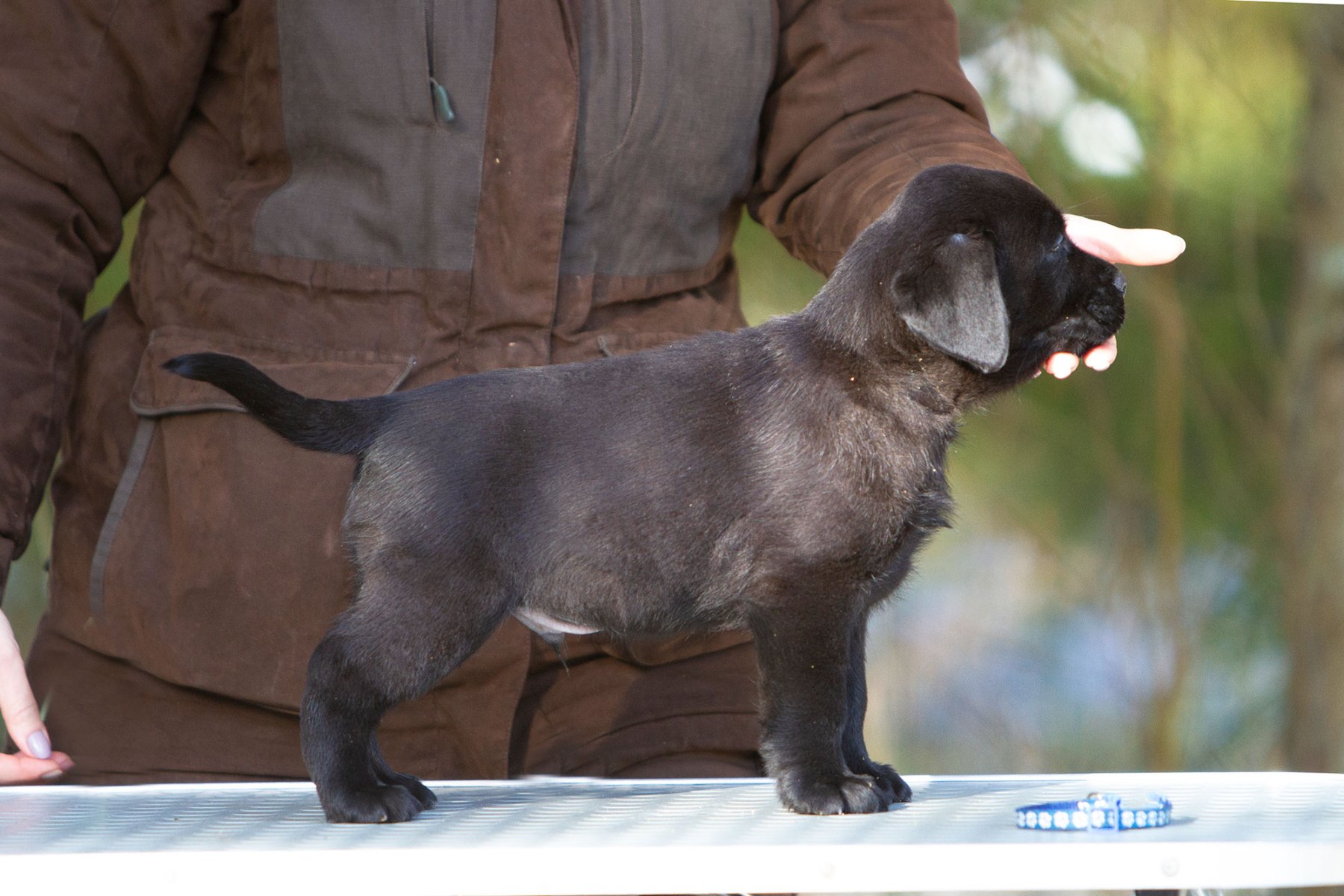 My Brand Grand Legend