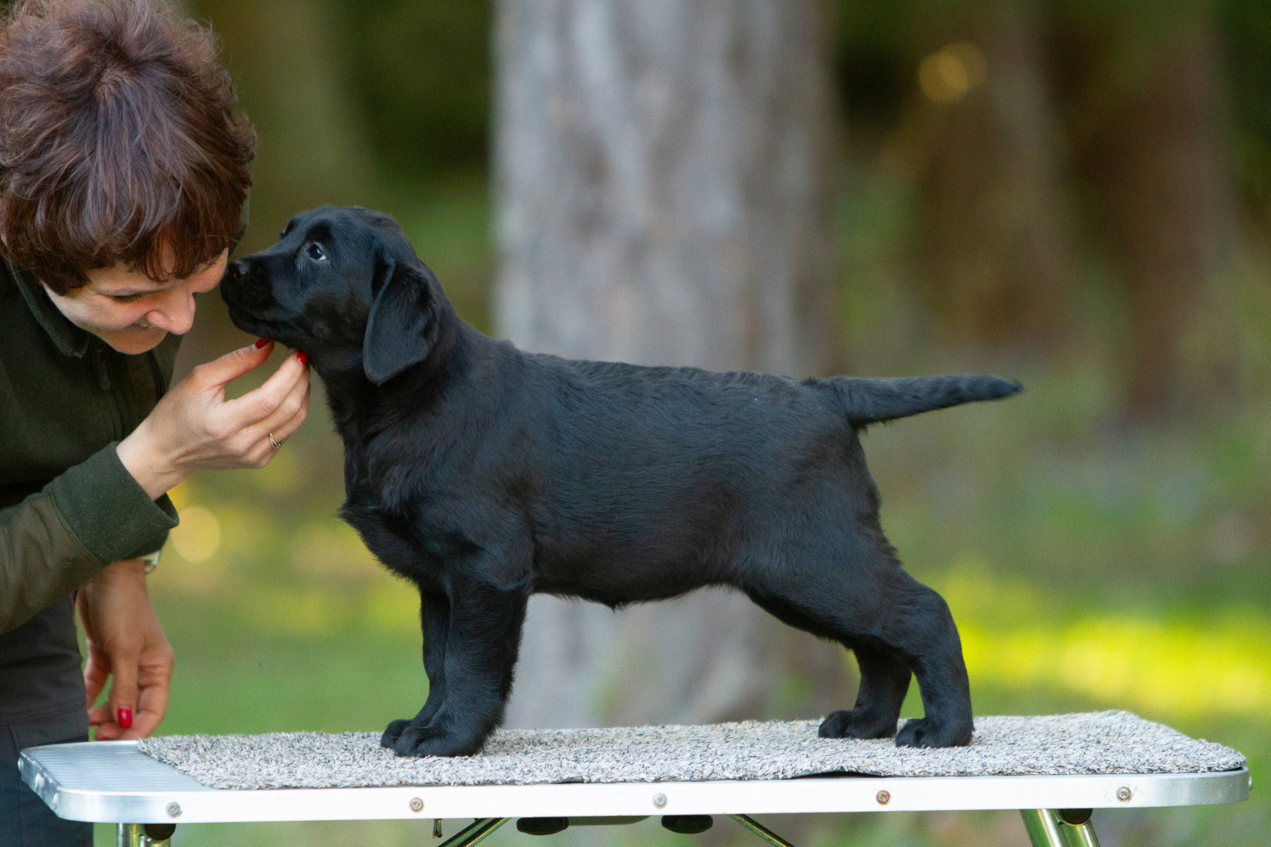 My Brand Great Believer