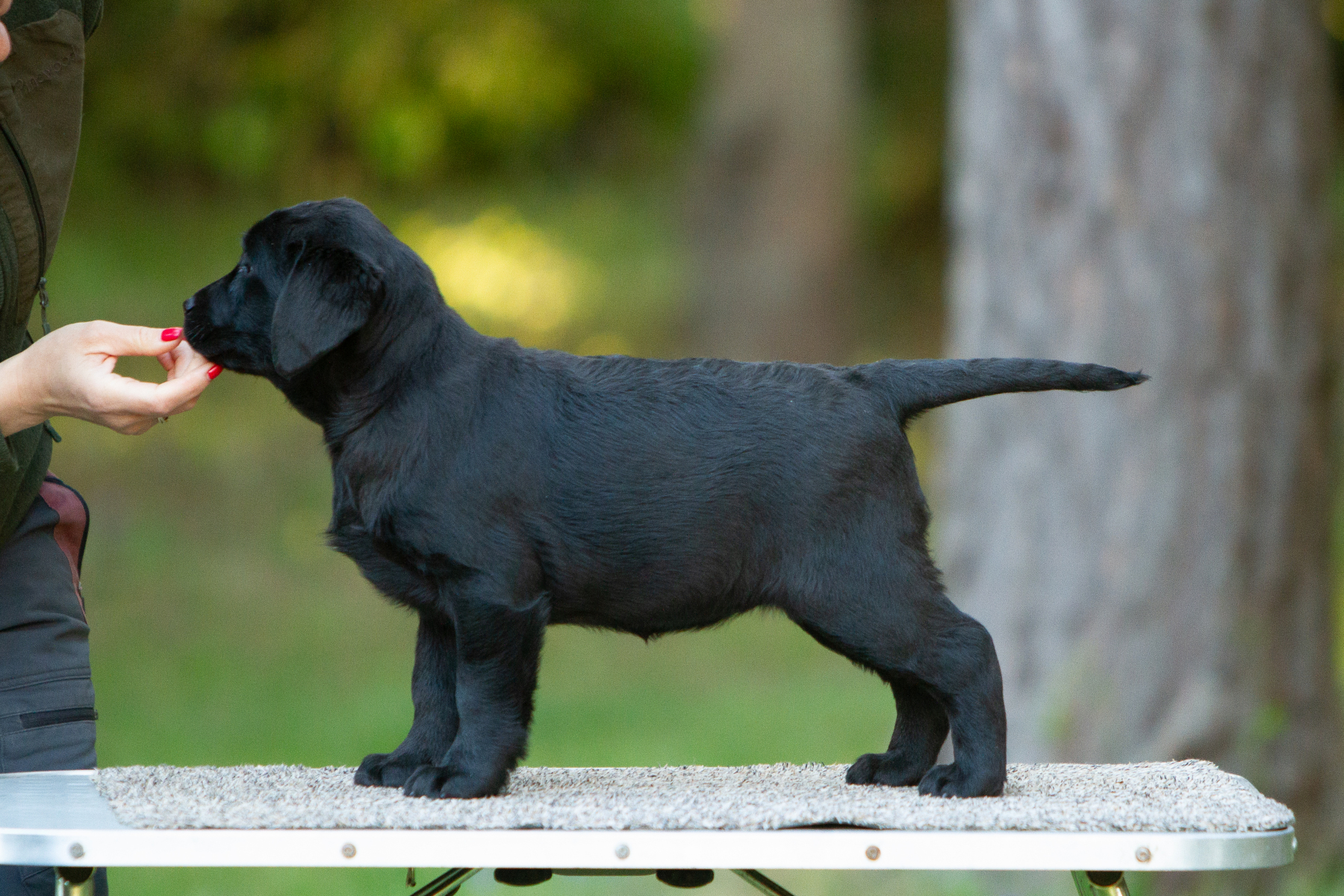 My Brand Great Believer