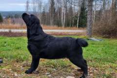 My Brand Jazz Time All The Time