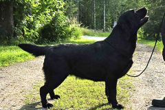 My Brand Jazz Time All The Time