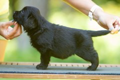 My Brand Jazz Time All The Time