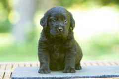 My Brand Jazz Time All The Time