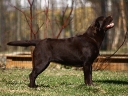 My Brand June Bug (9 months old)