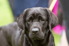 My Brand Last Minute Miracle