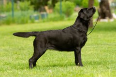 My Brand Last Minute Miracle