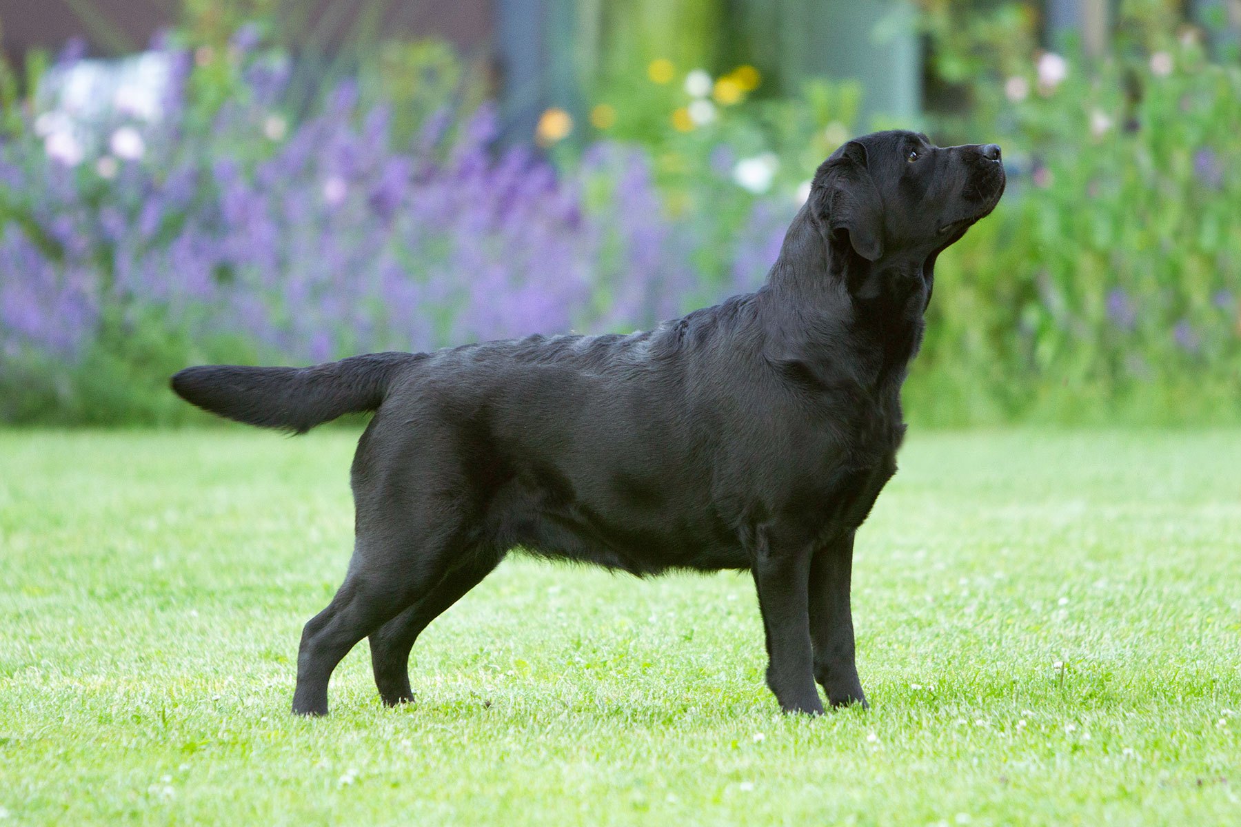 My Brand Last Minute Miracle