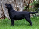 My Brand Mademoiselle at the age of 13 months