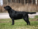 My Brand Miss Sunshine (22 months old)