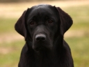 fiona-head-10m