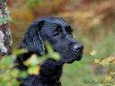 fiona-head-14m