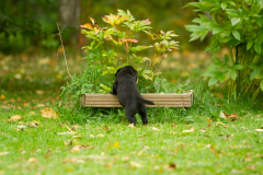 My Brand Next Generation "Iiris"