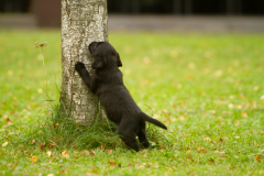 My Brand Next Generation "Iiris"