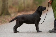 My Brand Next Generation "Iiris"