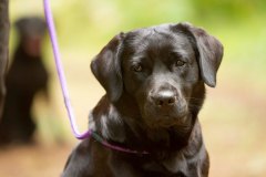 My Brand Night Is Still Young "Ronda"