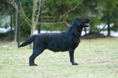 MB-Night-Is-Still-Young