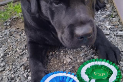 My Brand Night To Remember