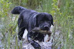 My Brand Night To Remember