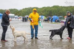 My Brand Night To Remember \"Touho\"