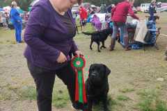 My Brand Night To Remember \"Touho\"