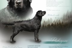 My Brand Night To Remember 1 year old