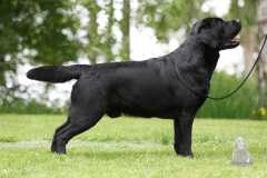 My Brand Night To Remember 3 years old