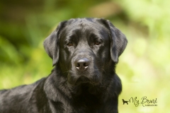 My-Brand-Night-To-Remember-1year-head