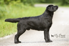 My-Brand-Night-To-Remember-1year