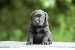 My Brand Night To Remember (4 weeks old)