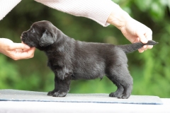 My Brand Night To Remember (4 weeks old)