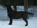 ranya-10m